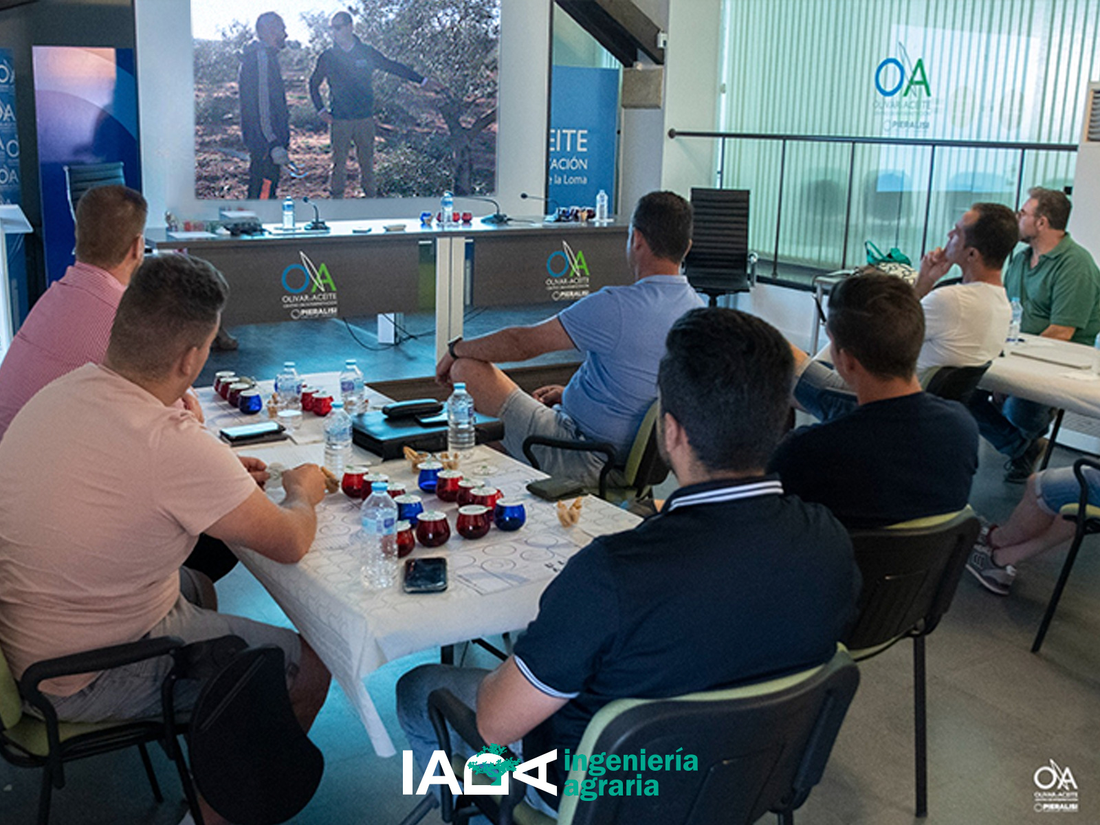 Alumnos y alumnas del curso de formación observan un vídeo sobre la poda del olivar.